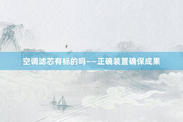 空调滤芯有标的吗——正确装置确保成果