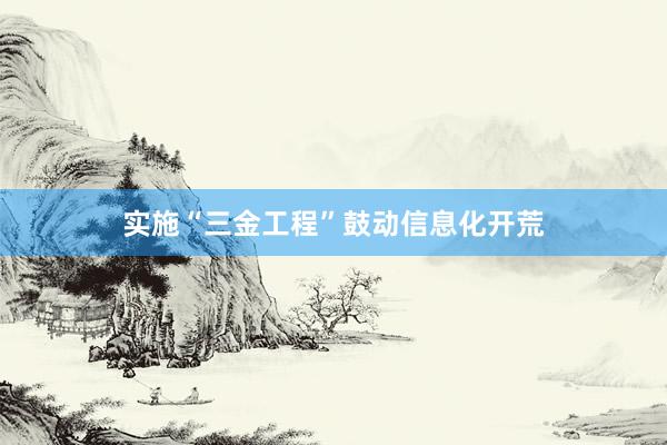 实施“三金工程”鼓动信息化开荒